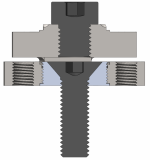 Section View